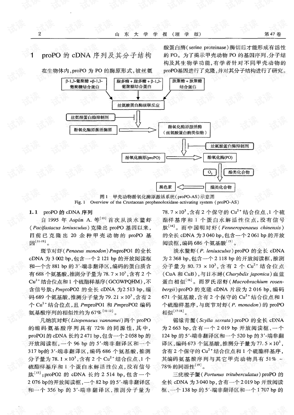 羧酸类衍生物