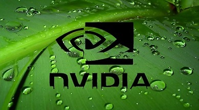 nvidia与英伟达