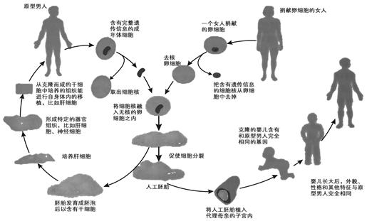 娱乐和体育的关系