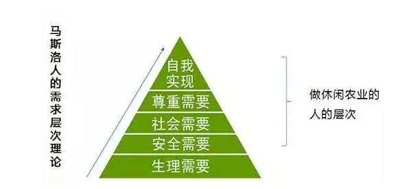 农村地区休闲娱乐方式的调查